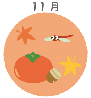 11月 11月